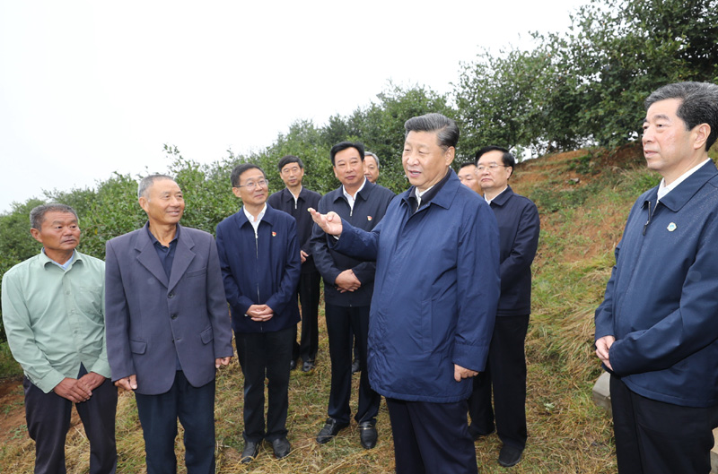 　　9月16日至18日，中共中央總書記、國(guó)家主席、中央軍委主席習(xí)近平在河南考察。這是17日上午，習(xí)近平來到信陽市光山縣槐店鄉(xiāng)司馬光油茶園，同正在勞作的村民和管理人員交流。 新華社記者 鞠鵬 攝